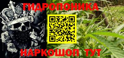 спиды Ливны