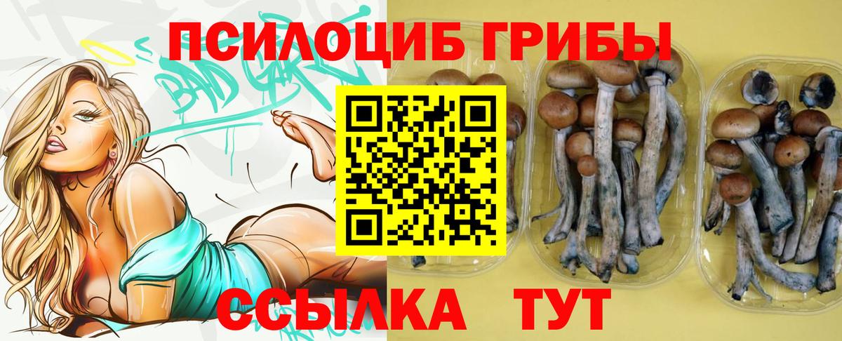 Дзержинский  Галлюциногенные грибы Magic Shrooms  Вход с VPN  Галлюциногенные грибы Magic Shrooms 
